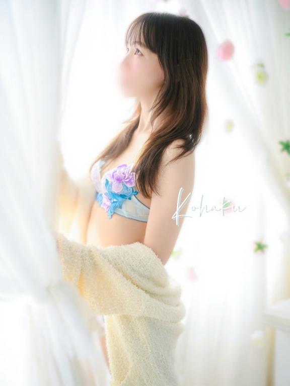 「こはく」の写真