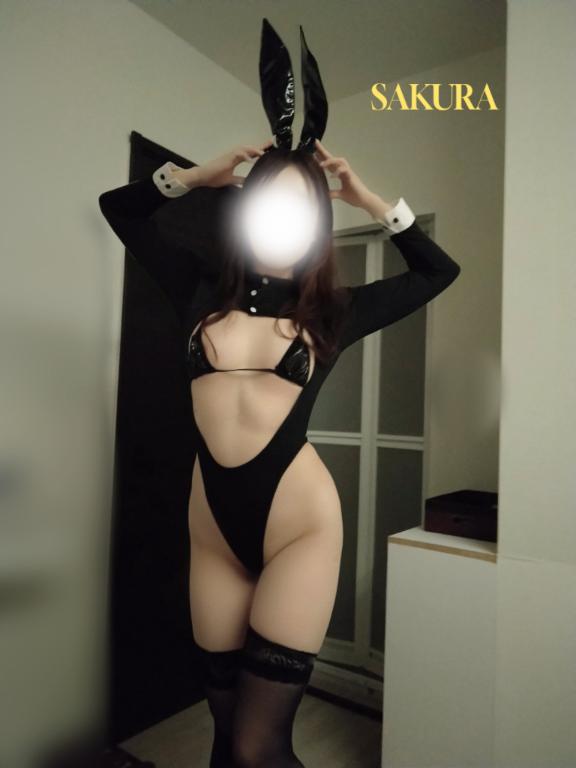 「さくら」の写真